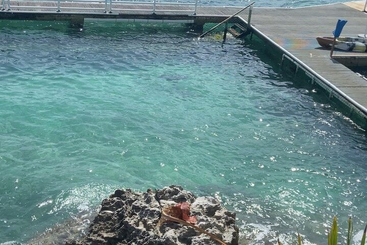 Instagram post from dra.paulacastro. This post is in position 3.