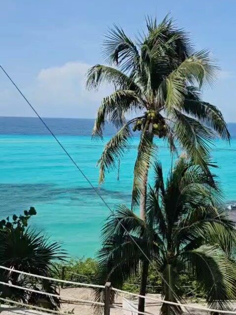 Instagram post from dra.paulacastro. This post is in position 6.